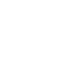 Best and Fast-White Logo